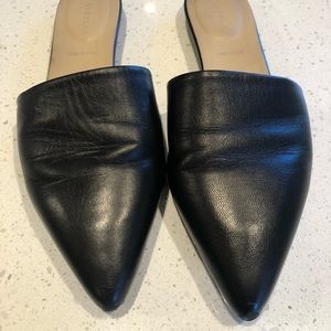 Everlane pointy toe flats